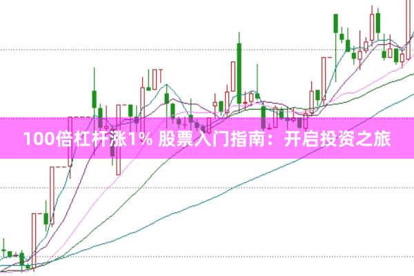 100倍杠杆涨1% 股票入门指南：开启投资之旅