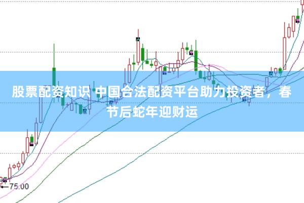 股票配资知识 中国合法配资平台助力投资者，春节后蛇年迎财运