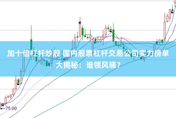 加十倍杠杆炒股 国内股票杠杆交易公司实力榜单大揭秘：谁领风骚？