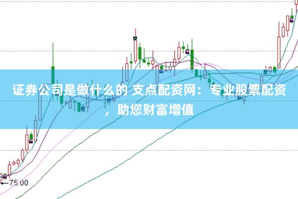 证券公司是做什么的 支点配资网：专业股票配资，助您财富增值