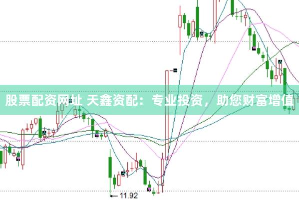 股票配资网址 天鑫资配：专业投资，助您财富增值