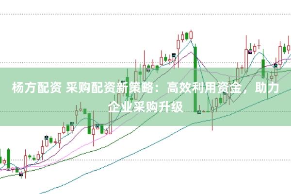 杨方配资 采购配资新策略：高效利用资金，助力企业采购升级