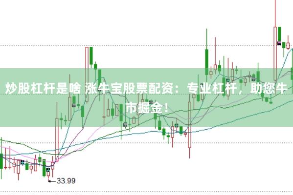 炒股杠杆是啥 涨牛宝股票配资：专业杠杆，助您牛市掘金！