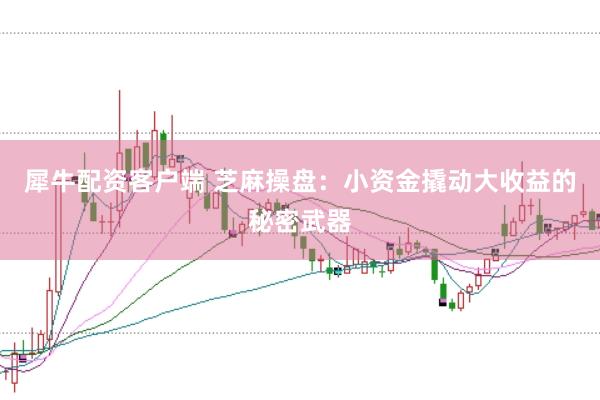 犀牛配资客户端 芝麻操盘：小资金撬动大收益的秘密武器