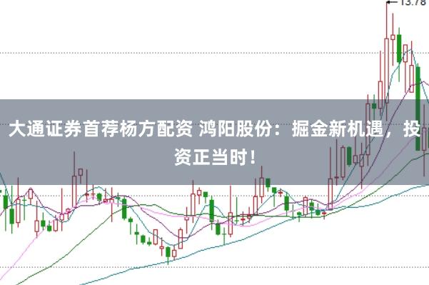 大通证券首荐杨方配资 鸿阳股份：掘金新机遇，投资正当时！