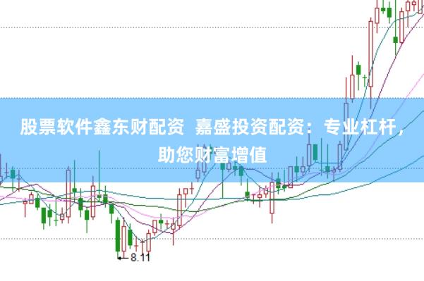 股票软件鑫东财配资  嘉盛投资配资：专业杠杆，助您财富增值