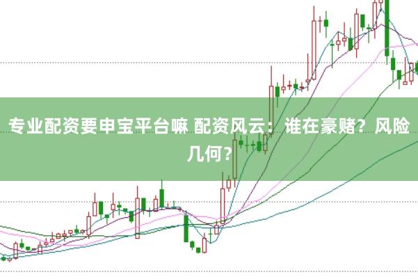 专业配资要申宝平台嘛 配资风云：谁在豪赌？风险几何？