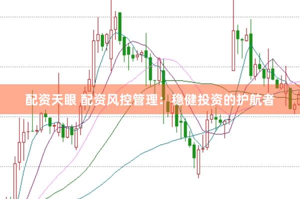 配资天眼 配资风控管理：稳健投资的护航者