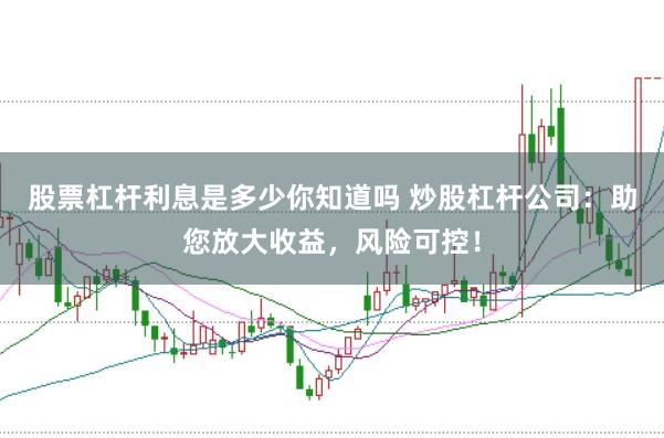 股票杠杆利息是多少你知道吗 炒股杠杆公司：助您放大收益，风险可控！
