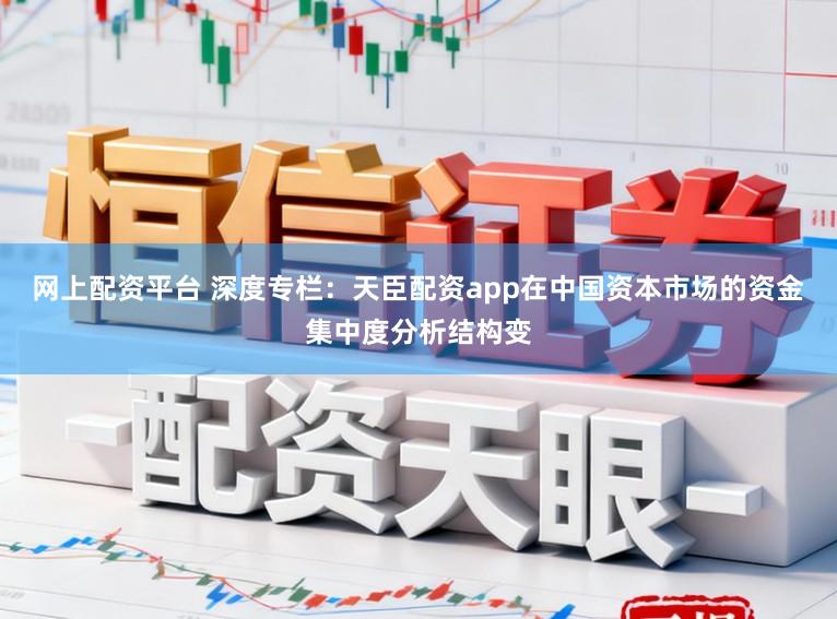 网上配资平台 深度专栏:天臣配资app在中国资本市场的资金集中度分析结构变