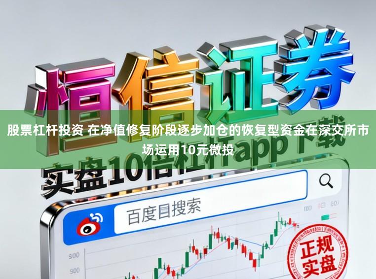 股票杠杆投资 在净值修复阶段逐步加仓的恢复型资金在深交所市场运用10元微投