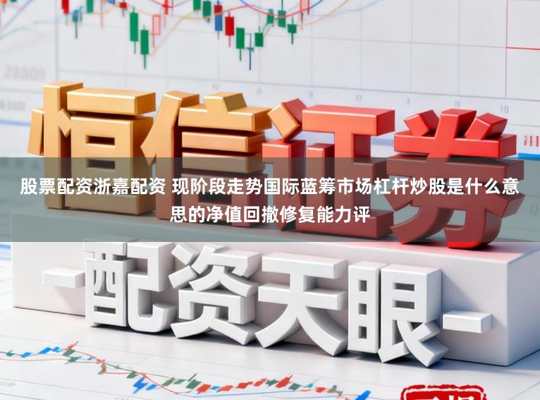 股票配资浙嘉配资 现阶段走势国际蓝筹市场杠杆炒股是什么意思的净值回撤修复能力评
