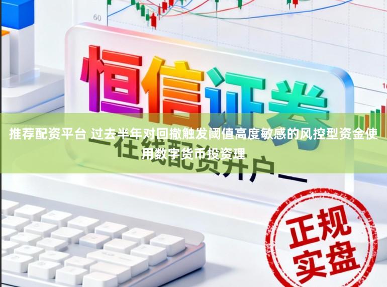 推荐配资平台 过去半年对回撤触发阈值高度敏感的风控型资金使用数字货币投资理